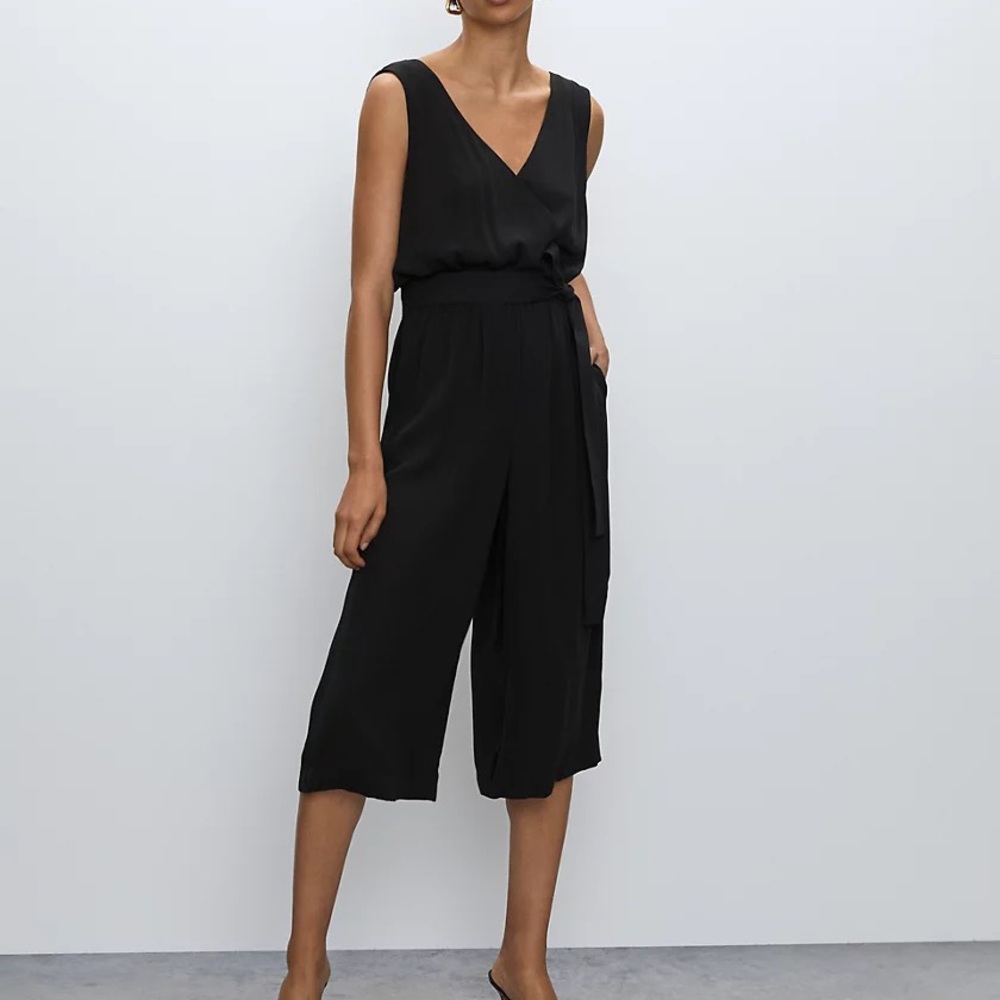 Babaton Maximillian Jumpsuit from Aritzia